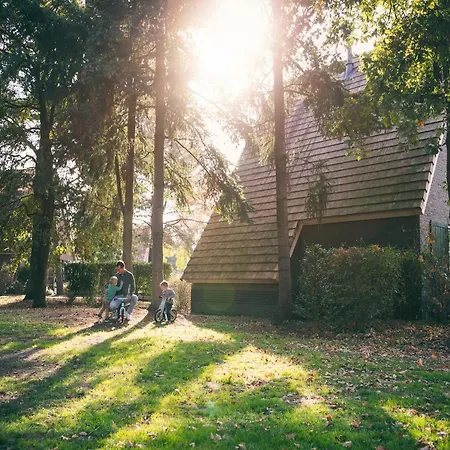 Spacious, Restyled With Sauna, Surrounded By Forest Villa
